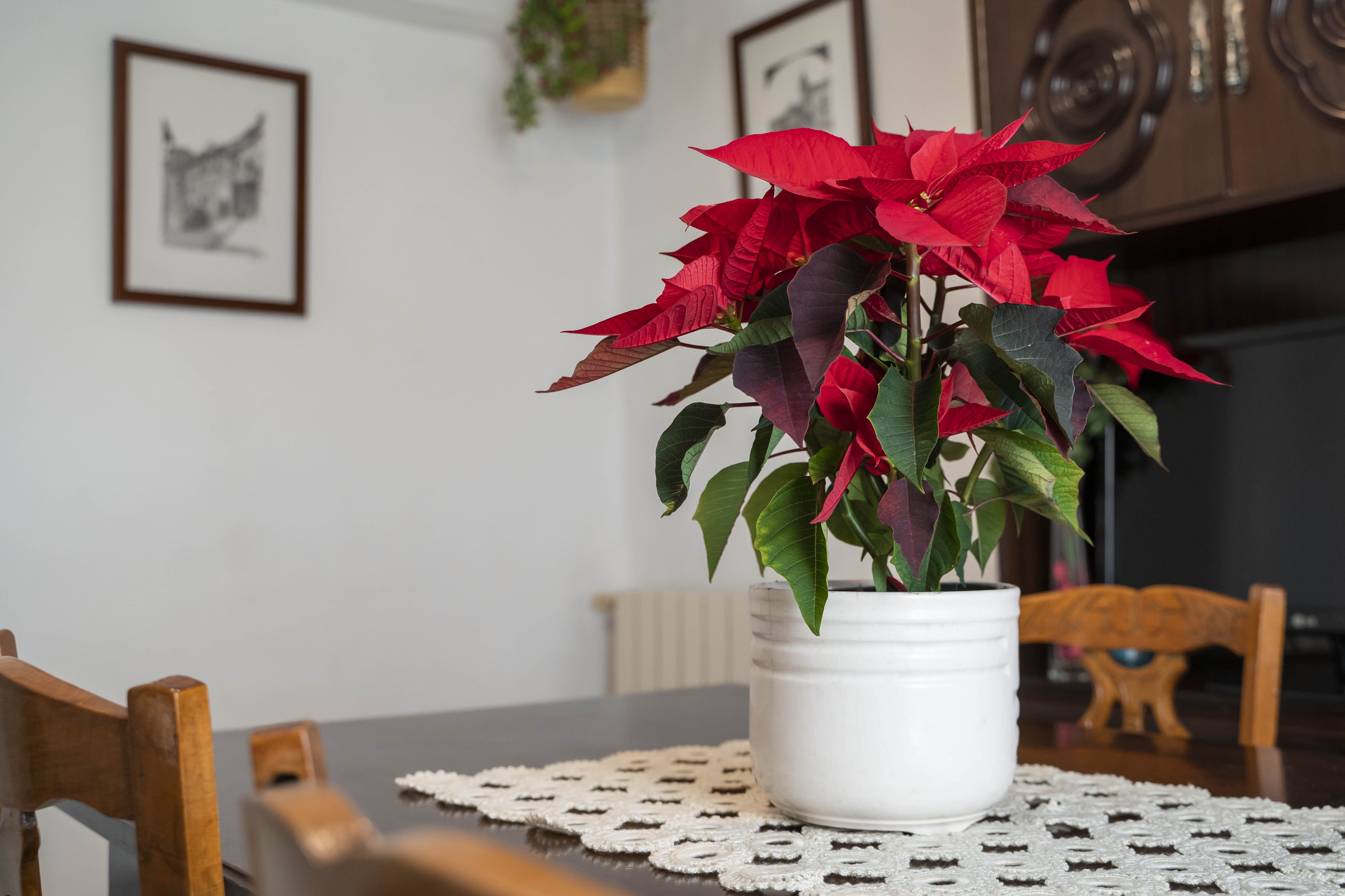 Alojamiento casa rural en Teruel - Casa Anita